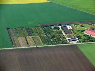 Ermstedt