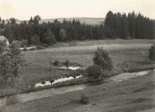 Triebtal bei Altensalz mit Salzwassertümpel ("Salzbrunnen"= künstlicher Aufschluß der Saline im 17. Jh., ehem. Hauptschacht mit den Pumpen)