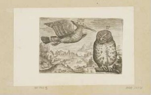 Wiedehopf und Eule, Blatt 5 der Folge "Vögel"