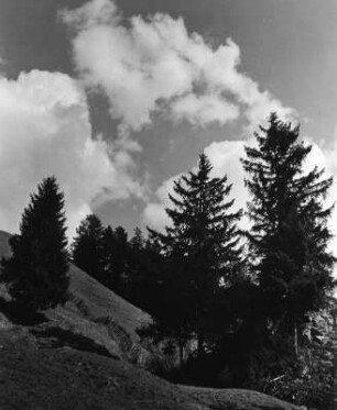 Wolkenbilder. Allgäu. Wolken über Bergkuppe mit Nadelbäumen