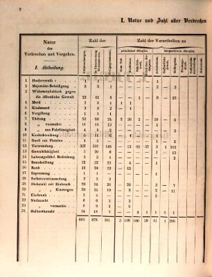 Übersicht der Strafrechtspflege im Großherzogthum Baden. 1845