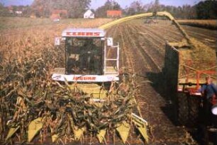 Fotografie: Ernteverfahren, Silomais, Maishäcksler selbstfahrend, Parallelverfahren, Zwillingsreifen