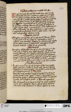 Libellus de peccatis spiritualibus