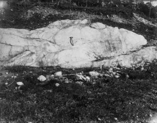 Gletscherschliff : Durch einen Gletscher abgeschliffene Felsen