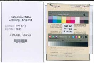 Entnazifizierung Heinrich Schlungs , geb. 18.03.1909 (Uebersetzer)