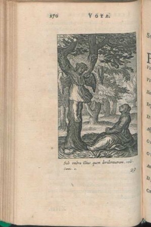 [XIIII.] Sub vmbra illius quem desideraueram, sedi. Cantic. 2.