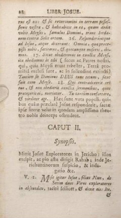 Caput II. Synopsis.