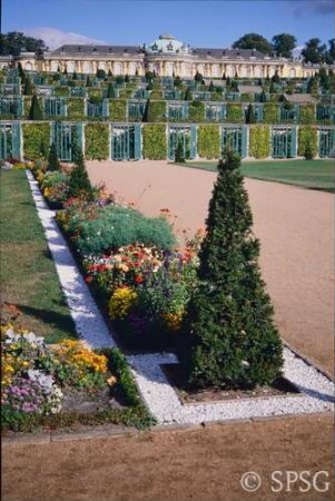 Potsdam, Park Sanssouci, Parterre Große Fontäne, Rabatte mit Blumenbepflanzung.