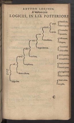 Logices, in lib. posteriore.