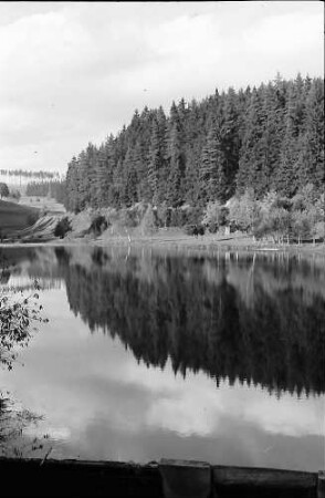 Weiher bei Friedenweiler