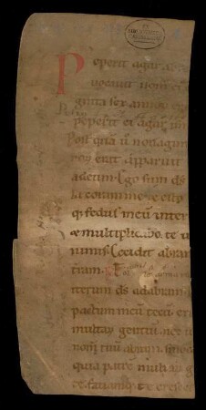 Breviarium plenum (Fragment)