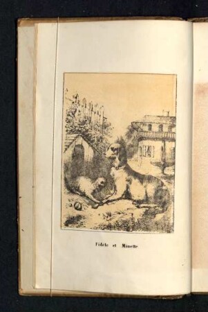 Fidèle et Minette