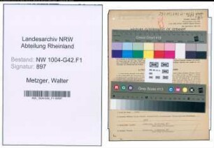 Entnazifizierung Walter Metzger , geb. 23.07.1901 (Arbeiter)