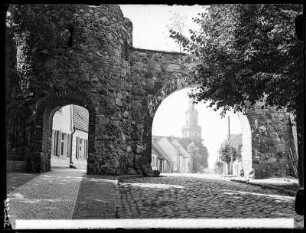 Templin: Schultor