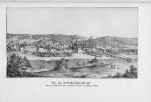 VIII. Das Neunkircher Eisenwerk 1857