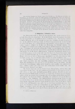 c) Hüftgelenk, Articulatio coxae.