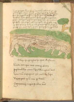 Versus de penitentia 'Poeniteas cito peccator' cum interpretatione Germanica [u.a.] - BSB Clm 4409