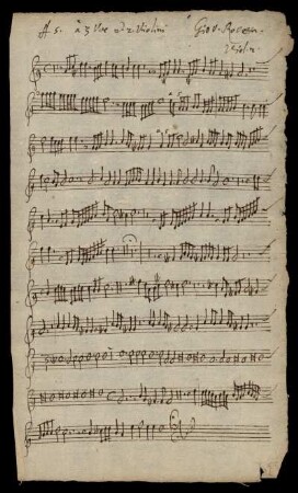 Viol. 2.