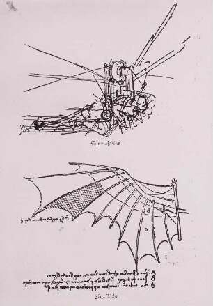 Flugmaschine und Flugfläche, Leonardo da Vinci