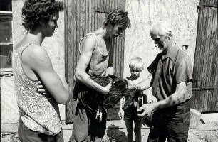 Erntebrauch in Tauer : Gesellschaftliche Volkskultur - Herbst. Ort: Turjej / Tauer. Hahnrupfen (łapanje kokota). Vgl. Lětopis C 27 (1984).