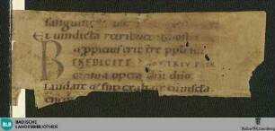 Psalterium, Fragment - Cod. Karlsruhe 1442