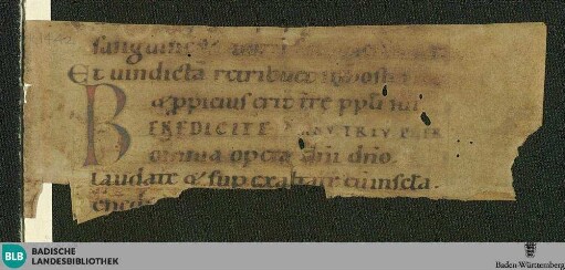 Psalterium, Fragment - Cod. Karlsruhe 1442