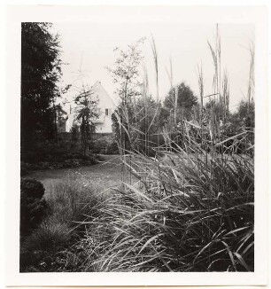 Garten Elsbeth Heddenhausen, Berlin-Zehlendorf: Garten mit Gräsern