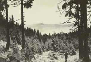 Isergebirge. Blick vom Böhmersteig zum Hochstein (Hoher Iserkamm)