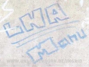 LNA Manu