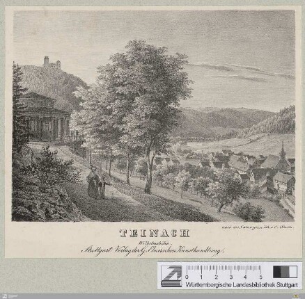 Teinach : Wilhelmshöhe