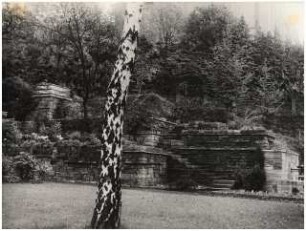 Garten Bergius, Heidelberg: Pflanzterrassen