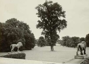 Muskau, Park : Muskau. Park des Fürsten Hermann Pückler (geboren 1785 Muskau, gestorben 1871 Branitz). Blick von der zum Schloß führenden Freitreppe in den Park