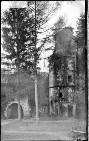 Hardenburg Burgruine