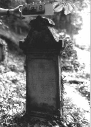 Grabstein 428 (Index: 99800270) Material: Sandstein Zustand: verwittert Maße HxBxT: 125x52x17 cm Beschreibung: Stele, spitzer Giebelaufsatz mit Mittelpalmette u. Seitenakroteren, Schriftfeld rechteckig eingetieft, Sockel: Grabstein 428