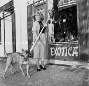 Nordwahlzahn in der Ausstellung "Exotica" in der Berliner Keithstraße