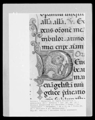 Missale monasticum mit Kalendar — Initiale D mit Markuslöwen, Folio 98