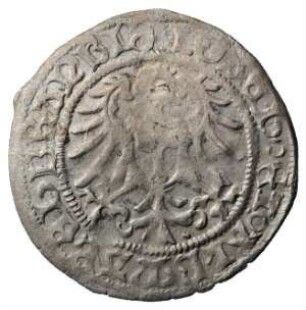 Fundmünze, Groschen, 1499 - 1535