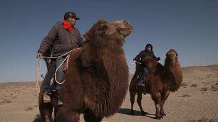 Die Reise zum sichersten Ort der Erde
