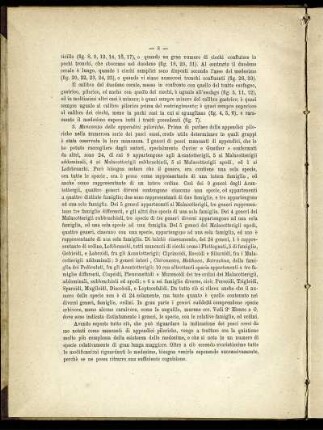 3. Mancanza delle appendice piloriche