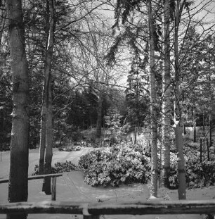 Bürgerpark: Grünanlage neben Hallenbad mit Resten des ehemaligen Naturtheaters: vorn Holzgeländer: dahinter Bäume und Sträucher: Winter