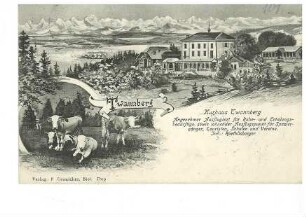 Kurhaus Twannberg, daneben vier Kühe