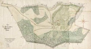 Mappa über den Grünwälder Glashütter Bann