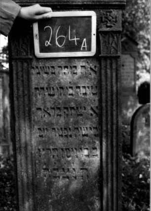 Grabstein 264 (Index: 100112084) Material: Sandstein Zustand: gut Maße HxBxT: 146x50x16 cm Beschreibung: ädikulaartige Stele mit Pilastern, Giebel Symbolik: drei Blüten, Blätter: Grabstein 264A