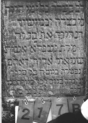 Grabstein 217 (Index: 99608941) Material: Sandstein Zustand: leicht verwittert Maße HxBxT: 124x67x21 cm Beschreibung: Stele, profilierter Sockel, eingezogener Rundbogenabschluß mit aufgesetzten Zweigen, Schriftfeld eingetieft: Grabstein 217B