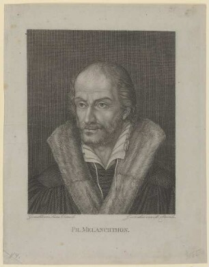 Bildnis des Ph. Melanchthon