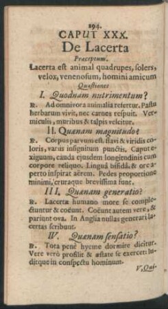 Caput XXX. De Lacerta
