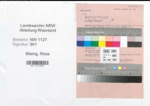Entnazifizierung Rosa Bilsing , geb. 00.00.0000 (Kauffrau)
