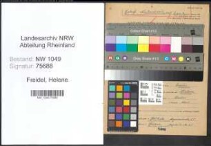 Entnazifizierung Helene Freidel , geb. 12.06.1903 ()