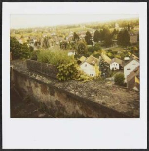 Blick über Mahlberg