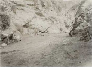 Quebrada Punin bei Riobamba, Fundort diluvialer Fossilien